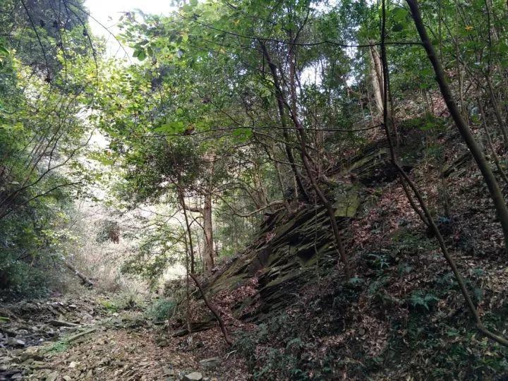 寂静岭5：归乡