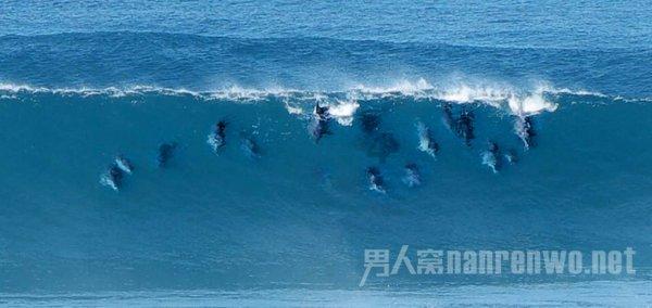 磁铁兄弟
